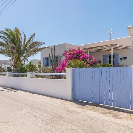 Contessina V פולוניה