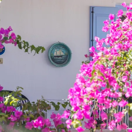 וילה Contessina V