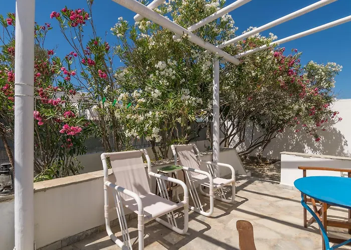 Contessina V * פולוניה