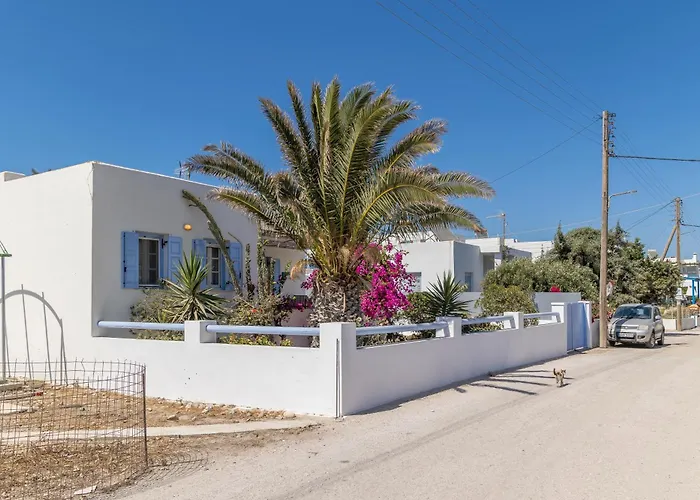 Contessina V * פולוניה