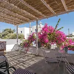 Contessina V