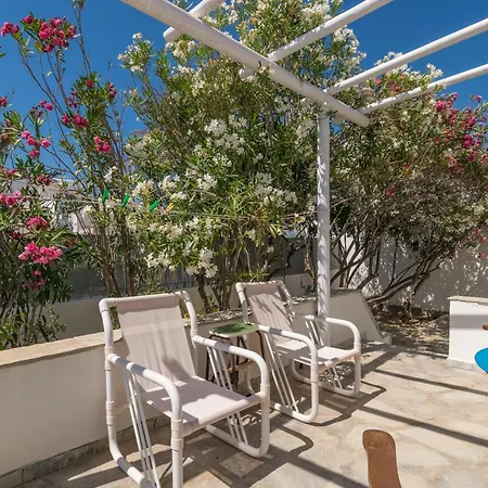 Contessina V * Pollonia