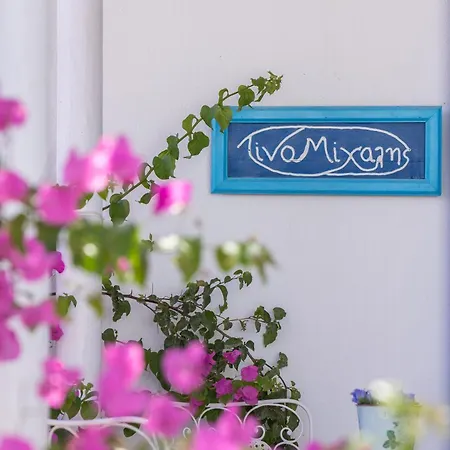 Contessina V Villa *