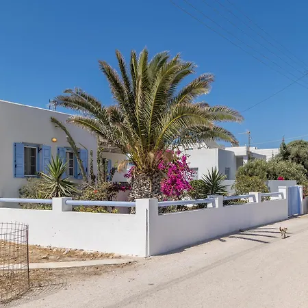 Contessina V * Pollonia