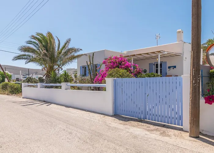 Contessina V Поллония